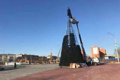 11-метровую ёлку за 2,1 млн рублей впервые установили на площади КСК в Чите