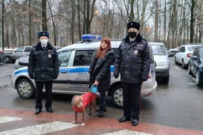 Полицейские в Москве вернули хозяевам похищенного пса