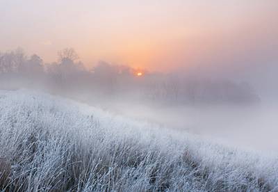 Осадки и слабый туман ожидаются в Беларуси 25 ноября