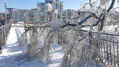 Ущерб от ледяного шторма в Приморье предварительно оценили в 266 млн рублей