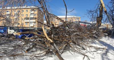 Власти Приморья оценили ущерб от циклона в 266 млн рублей