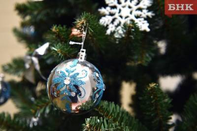 Новогодней елки главы Коми не будет