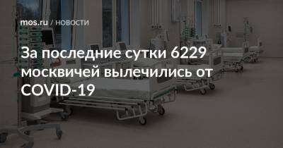 За последние сутки 6229 москвичей вылечились от COVID-19