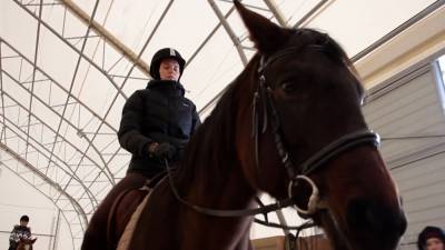 Челябинских врачей обучают верховой езде на лошадях.