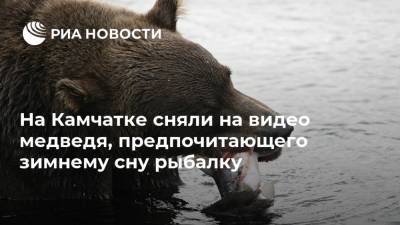 На Камчатке сняли на видео медведя, предпочитающего зимнему сну рыбалку - ria.ru - Москва