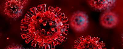 В России выявили 25 487 новых случаев коронавируса за сутки