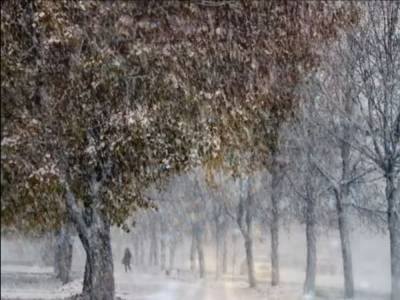 Мокрый снег, "жара" и морозы: синоптики ошарашили прогнозом на последние дни ноября