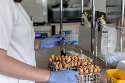 В ДНР за сутки провели более 450 исследований на коронавирус