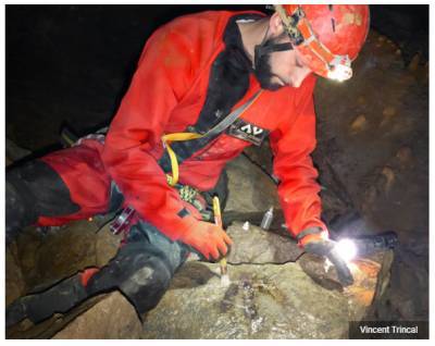 В нескольких глубоких пещерах Франции были найдены следы странных динозавров