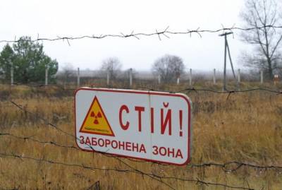 Минприроды опровергло всплеск радиации около Чернобыля