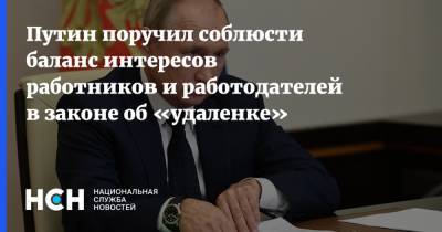 Путин поручил соблюсти баланс интересов работников и работодателей в законе об «удаленке»