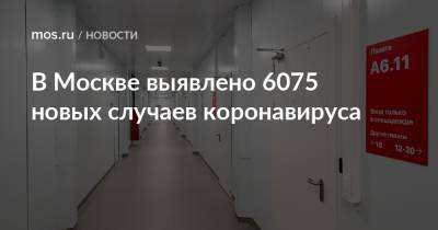 В Москве выявлено 6075 новых случаев коронавируса