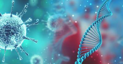 Генетики не нашли мутаций в SARS-CoV-2, делающих его более заразным или смертельным