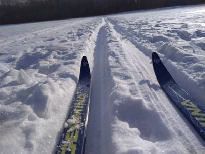 Министр спорта Башкирии пообещал решить проблему уфимских лыжников в СОК «Биатлон» сегодня