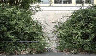 Бегство с переодеванием в кустах: в Берлине судят убийцу - Зелимхана Хангошвили