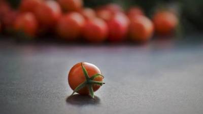 Россельхознадзор ввел запрет на ввоз из Ферганской области помидоров и перцев