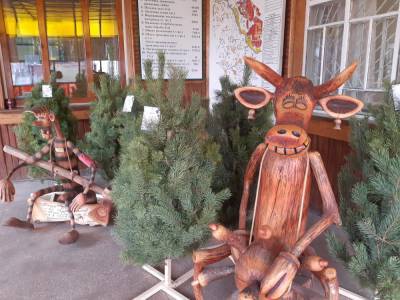 Стали известны цены на новогодние елки в Луганской области