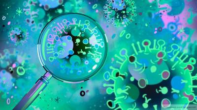 Эпидемиолог назвал срок жизни антител у переболевших COVID-19
