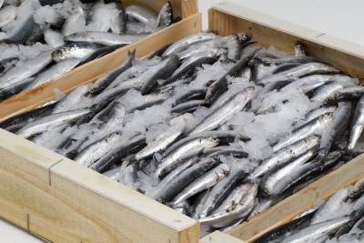 Роспотребнадзор забраковал 49,5 килограмм рыбы в Тверской области