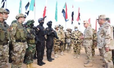 «Меч арабов» у границ Ливии: Египет и его союзники ответят на вызовы Турции