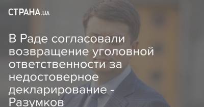 В Раде согласовали возвращение уголовной ответственности за недостоверное декларирование - Разумков