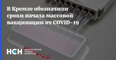 В Кремле обозначили сроки начала массовой вакцинации от COVID-19