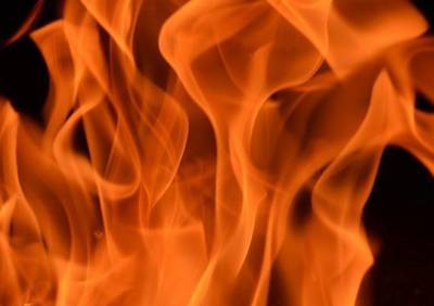 На пожаре в Ермишинском районе погиб мужчина