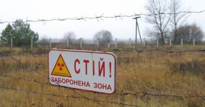 &quot;Превышение в 800 раз!&quot;: госчиновники напугали активистов радиацией в Чернобыле