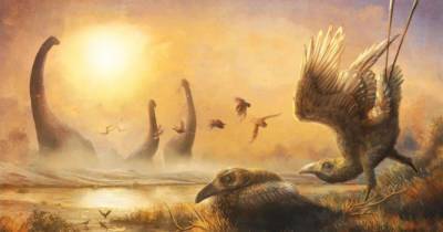 Эволюция дала сбой. В эпоху динозавров жила птица с головой велоцираптора и клювом тукана