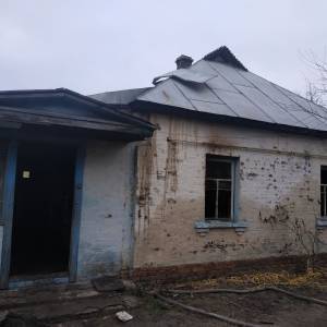 На пожаре в Киевской области погибли три человека. Фото