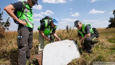 Суд в Нидерландов одобрил прошение защиты по делу MH17