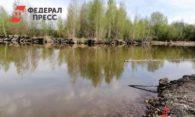Свердловские общественники пытаются доказать вред от полигона «Северный»