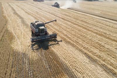 Российский регион поставил рекорд по сбору зерна