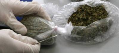 Житель Карелии получил штраф за хранение наркотиков
