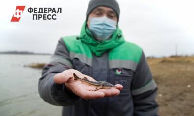 «Башнефть» в 2020 году выпустила в водоемы России 1,2 миллиона мальков