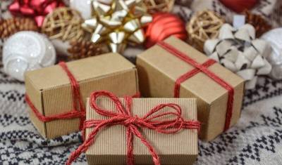 Ленара Иванова призвала дарить новогодние подарки детям из приютов Башкирии