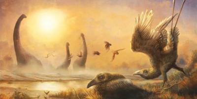 С динозаврами на Земле жила птица с клювом тукана, – учёные