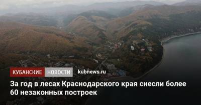 За год в лесах Краснодарского края снесли более 60 незаконных построек