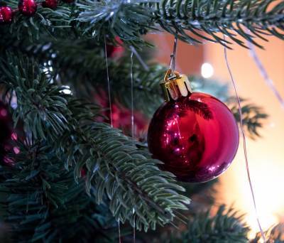 В Астрахани возле «Лукойла» установили первую новогоднюю елку
