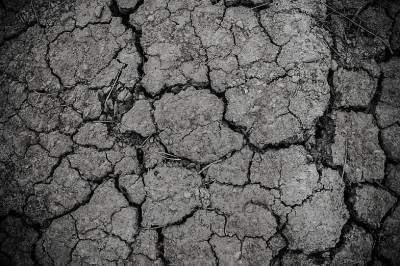 2020 год стал самым засушливым в истории Ростовской области за последние 139 лет