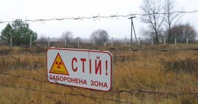 Украинцев успокоили: чрезвычайных ситуаций в зоне отчуждения не происходит, радиационный фон — в пределах нормы