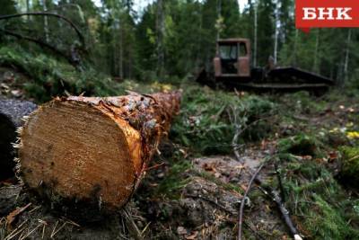 Жительница Объячево заплатит неустойку за перепродажу «льготной» древесины