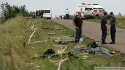 Журналист Нидерландов оценил хитрый трюк стороны защиты в деле MH17