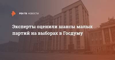 Михаил Мамонов - Эксперты оценили шансы малых партий на выборах в Госдуму - ren.tv
