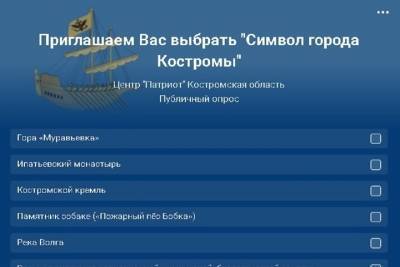 Костромские патриоты предлагают горожанам выбрать символ для областной столицы