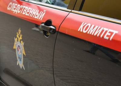 Суд арестовал главу отдела таможенного поста аэропорта Шереметьево