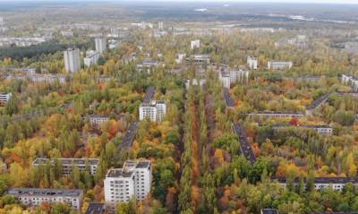 В несколько раз выше нормы: в районе Чернобыльской зоны обнаружены скачки радиации