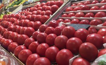 Мининвествнешторг прокомментировал запрет на экспорт томатов и болгарского перца из Ферганской области в Россию