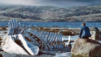 В Териберке установят скелет кита из фильма "Левиафан"