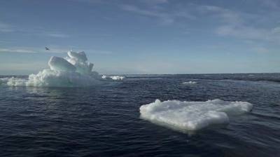 Как ледники Арктики и Антарктики связаны между собой